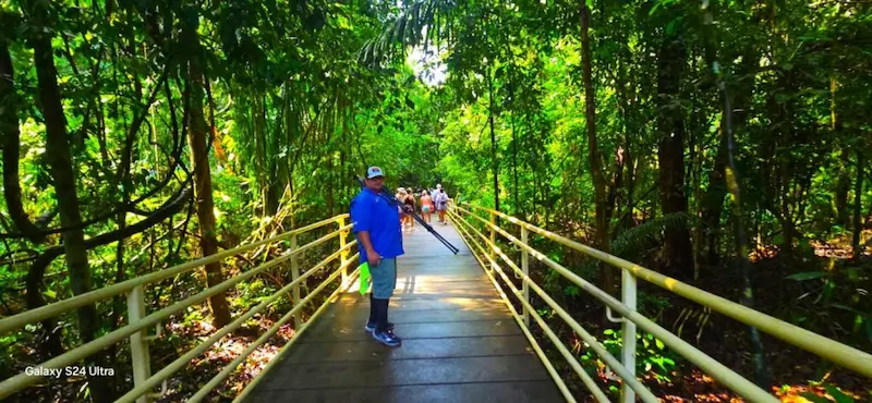 Guía experto mostrando un perezoso con telescopio en el tour del Parque Nacional Manuel Antonio con transporte incluido.