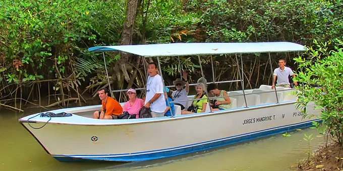 Paseo en bote por el manglar de Isla Damas para ver monos cariblanca de cerca.