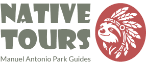 Native Tours CR